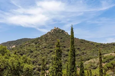 a mountain with trees in front of it at Mediterranean villa with pool near barcelona in Cabrera de Mar