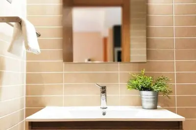 a bathroom sink with a potted plant on it at Mazi Apartments Terrace in Mataró