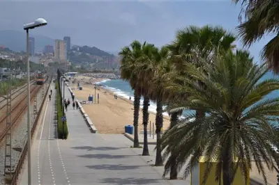 a row of palm trees on a sidewalk next to a beach at a18' de Barcelona y 10' de circuito de Cataluña in Barcelona