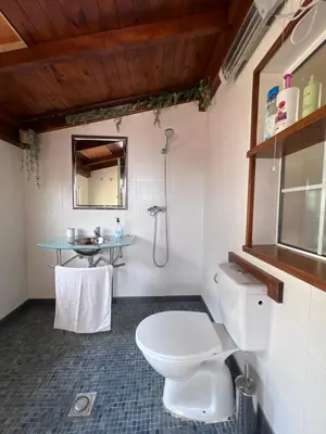 a bathroom with a white toilet and a sink at La Bruixa Rural in Dosríus