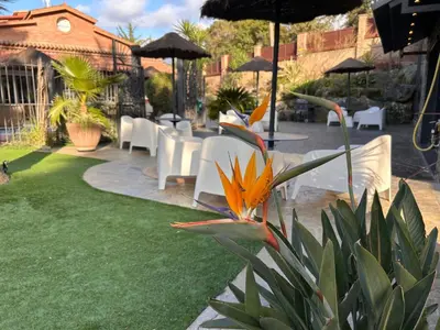 a swimming pool with chairs and umbrellas and palm trees at CARIBBEAN Home in Montcada i Reixac