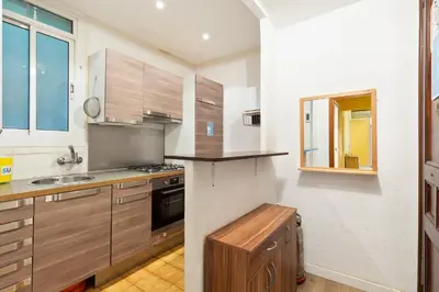 a kitchen with wooden cabinets and a sink at Stay U-nique Apartments Lope de Vega in Barcelona