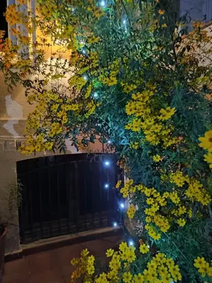 a bunch of yellow flowers on a fence with lights at Casa MO in Sabadell
