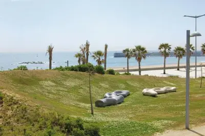 a group of animals laying in the grass near the beach at Sant Adria Beach apartment Wi-Fi Parking Free in Sant Adria de Besos