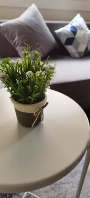 a potted plant sitting on top of a table at Barcelona 2 Habitaciones in Hospitalet de Llobregat