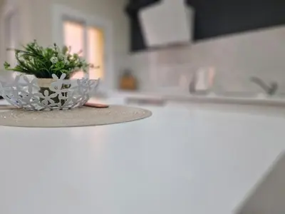 a plant in a bowl on a counter in a kitchen at Barcelona 2 Habitaciones in Hospitalet de Llobregat
