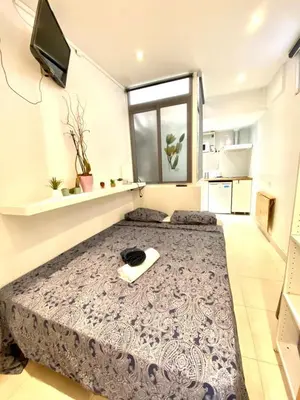 a large room with a large bed in a room at 01 Apartamento 2 ,3 in Barcelona