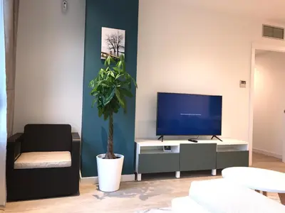 a living room with a tv and a potted plant at Llull Home in Sant Adria de Besos