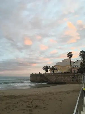 a beach with palm trees and a wall and the ocean at Sitges in centrum close to the beach in Sitges