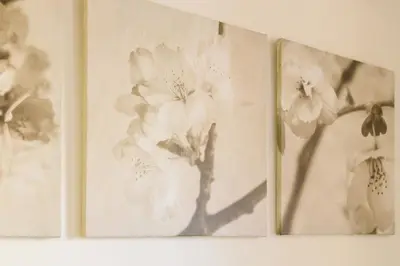 two pictures of flowers hanging on a wall at Housalia Gracia in Barcelona