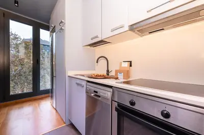 a kitchen with a sink and a dishwasher at Sweett - Jardinets in Barcelona