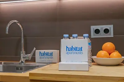 a kitchen counter with a bottle of water and a bowl of oranges at Habitat Apartments Pedrera in Barcelona
