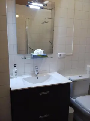 a bathroom with a sink and a mirror and a toilet at MAS GUILLO in San Quintín de Mediona