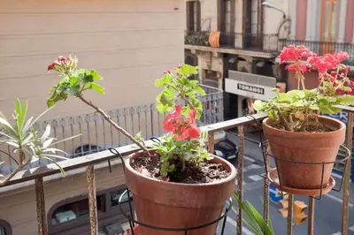 three potted plants on a balcony on a city street at Apart céntrico con terraza en Gracia in Barcelona