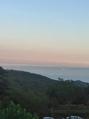 a view of the ocean from a hill with trees at Apartamentos Can bruguera 3 in Mataró