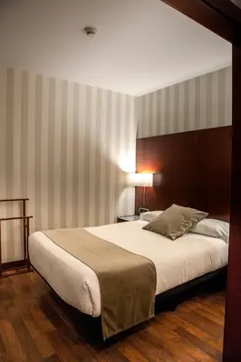 a bedroom with a large bed in a room at Zenit Barcelona in Barcelona