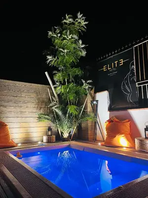 a swimming pool with a tree in the background at Elite Hotel - Gay Men Only in Sitges