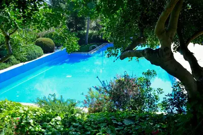 a swimming pool in a garden with a tree at Abba Garden in Barcelona