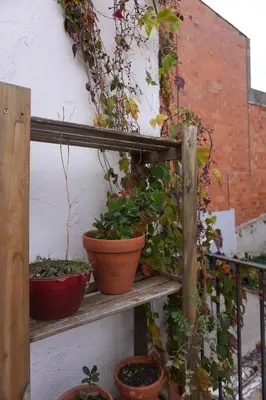 a group of potted plants sitting on a shelf at Alojamiento con encanto en planta superior ideal para trabajo y escapadas familiares en Montserrat in Esparreguera