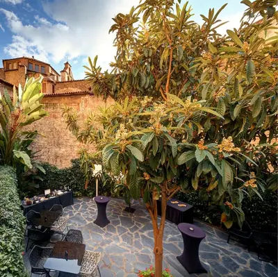 a garden with a tree and chairs and a building at Olivia Plaza Hotel in Barcelona