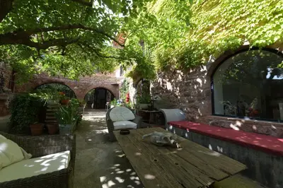 a cat sleeping on a wooden table under a tree at Masia Vilatersana in Sant Llorenc Savall