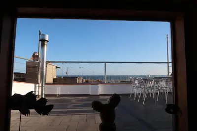 a group of birds standing on the roof of a building at CAM Maresme 1 apartamento Barcelona y playa in Masnou