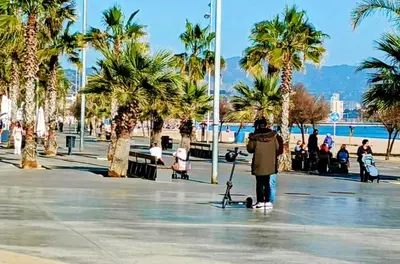 a man with a scooter in a park with palm trees at Hostal Estudios in Badalona