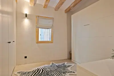 a zebraebra rug in a room with a window at Penthouse with Rooftop apartment in the Barceloneta - Barcelona in Barcelona