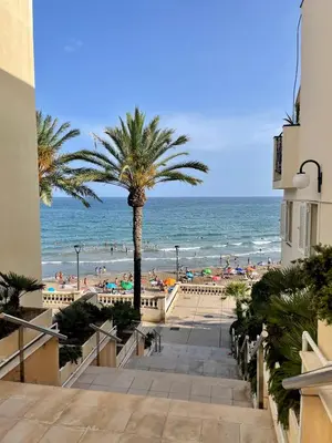 a view of a beach with a palm tree and the ocean at La Marina2 SeaView with amazing terrace in Sitges