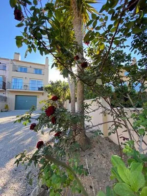 a tree in front of a building with a garage at RACÓ DEL GARRAF Ca la Matilde house BBQ and POOL in Olivella