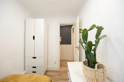 a plant sitting on a table in a room at Vintage 3 Bdr Apartment in Esplugues de Llobregat