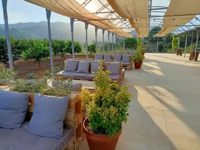 a row of pillows and plants on a patio at Romantic Stay in Grand Setting in Alella