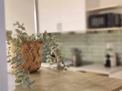 a potted plant sitting on top of a table at Mazi Apartments Havana in Mataró