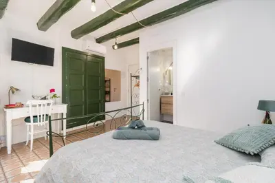 a bedroom with a large bed with a green door at La Casa Vella EL BEDORC in Piera