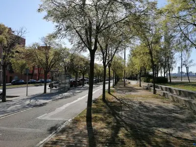 a street with trees on the side of the road at Piso pl 2A, 20 min Plaza Cataluña in Sant Adria de Besos