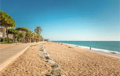 a sandy beach with palm trees and the ocean at Nice Apartment In Pineda De Mar in Pineda de Mar